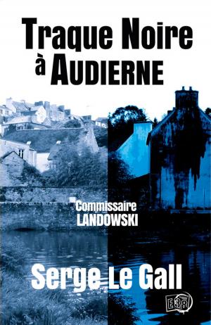 Cover of the book Traque noire à Audierne by Bridgette Powell