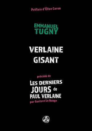 Cover of the book Verlaine gisant by Emmanuel Tugny