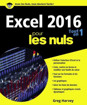 Book cover of Excel 2016 Tout en un pour les Nuls