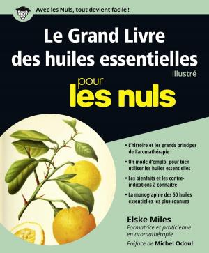 Cover of the book Le Grand Livre des huiles essentielles pour les Nuls by Dan GOOKIN