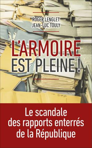 Cover of the book L'armoire est pleine ! by Emilie LARAISON