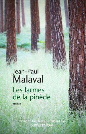 Cover of the book Les Larmes de la pinède by Marie-Bernadette Dupuy