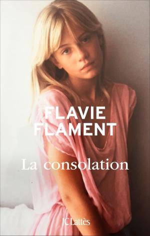 Cover of the book La consolation by Claire Léost