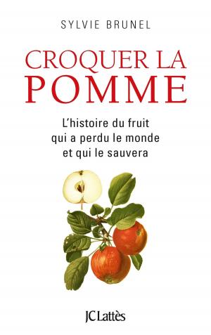 Cover of the book Croquer la pomme by Salomon Malka