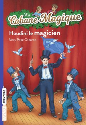 bigCover of the book La cabane magique, Tome 45 by 