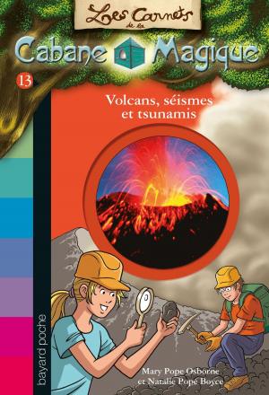 Cover of the book Les carnets de la cabane magique, Tome 13 by Marie-Hélène Delval