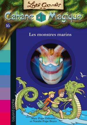 Book cover of Les carnets de la cabane magique, Tome 16