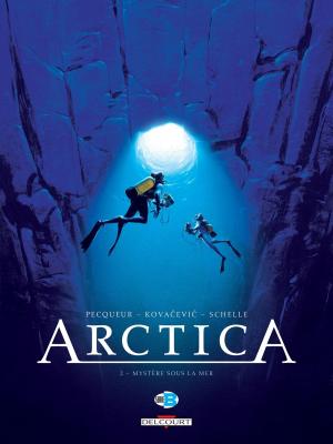Cover of the book Arctica T02 by Fabien Dalmasso