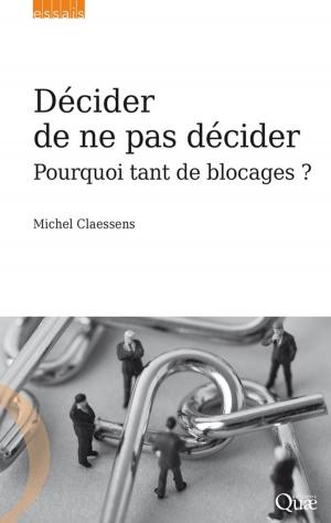 Cover of the book Décider de ne pas décider by Stéphane Blancard, Nicolas Renahy, Cécile Détang-Dessendre