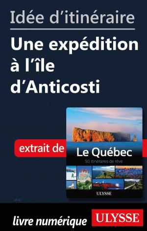 Cover of the book Idée d'itinéraire - Une expédition à l'île d'Anticosti by Hélène Boyer, Odile Mongeau