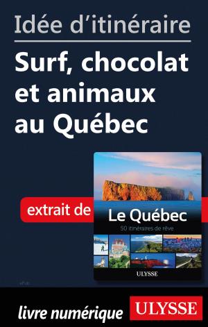 Cover of the book Idée d'itinéraire - Surf, chocolat et animaux au Québec by Carolyn Schott