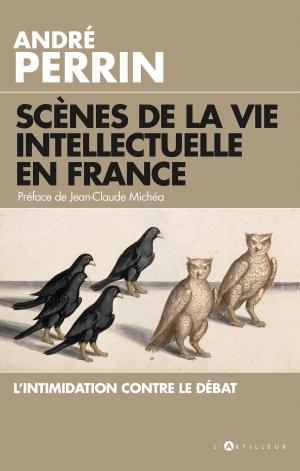 Cover of the book Scènes de la vie intellectuelle en France by Douglas Murray
