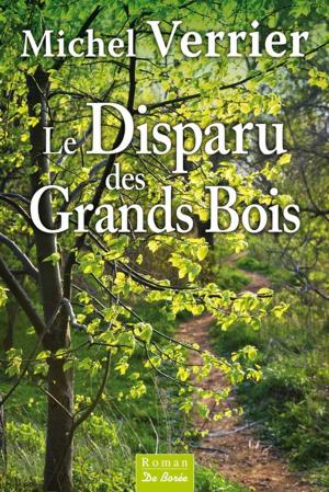 Book cover of Le disparu des grands bois