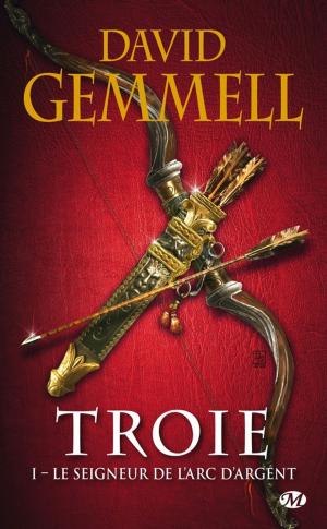 Book cover of Le Seigneur de l'Arc d'Argent