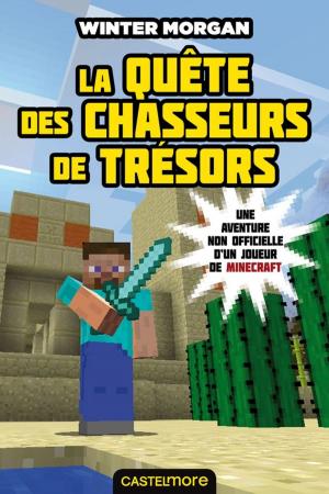 Book cover of La Quête des chasseurs de trésors