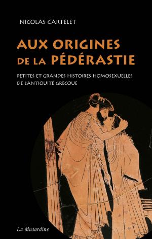 Book cover of Aux origines de la pédérastie. Petites et grandes histoires homosexuelles de l'Antiquité grecque