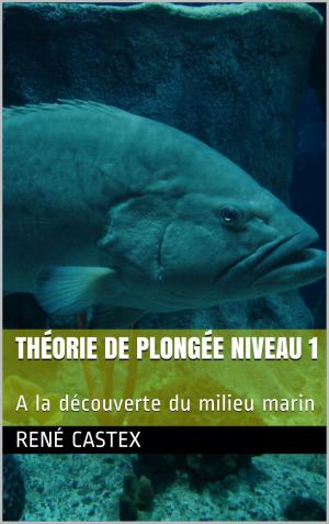 Cover of PLONGÉE NIVEAU 1