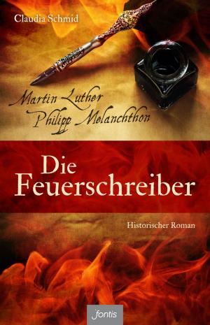 Book cover of Die Feuerschreiber
