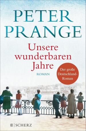Cover of the book Unsere wunderbaren Jahre by Cecelia Ahern