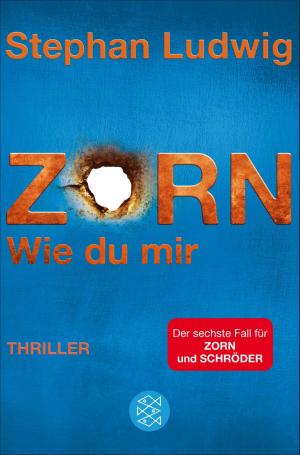 Cover of the book Zorn 6 - Wie du mir by Lisa Randall