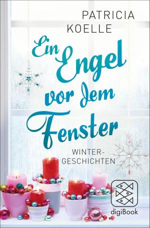 Cover of the book Ein Engel vor dem Fenster by Erica Jong