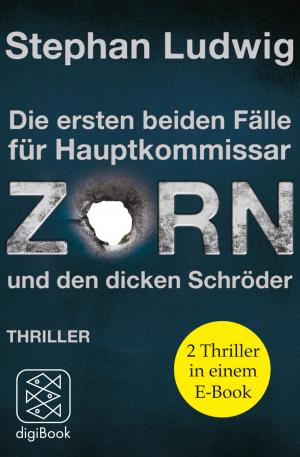 Cover of the book ZORN by Paige Toon