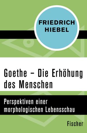 Cover of the book Goethe by Cheryl Benard, Edit Schlaffer