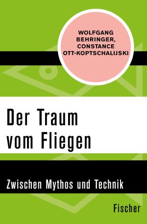 Cover of the book Der Traum vom Fliegen by Otto Flake, Michael Farin