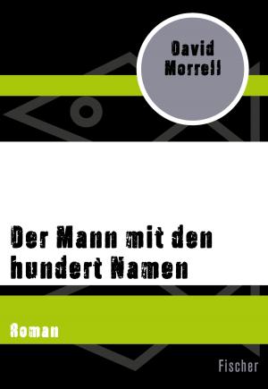 Cover of the book Der Mann mit den hundert Namen by Annegrit Arens