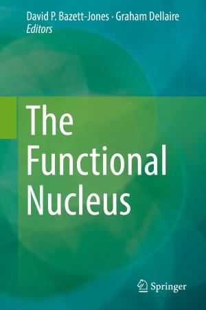 Cover of the book The Functional Nucleus by Tatiana Galibus, Viktor V. Krasnoproshin, Robson de Oliveira Albuquerque, Edison Pignaton de Freitas
