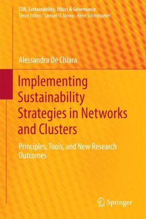Cover of the book Implementing Sustainability Strategies in Networks and Clusters by Glen Lean, Patricia Paraide, Charly Muke, Kay Owens