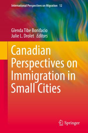 Cover of the book Canadian Perspectives on Immigration in Small Cities by Evan Weiner