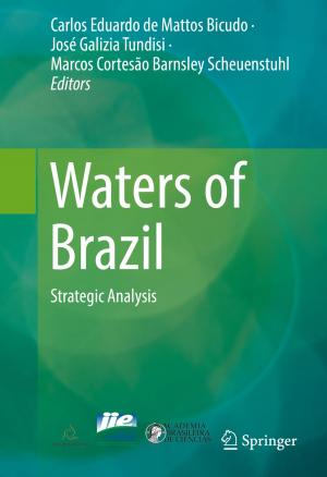 Cover of the book Waters of Brazil by Huijun Gao, Xianwei Li