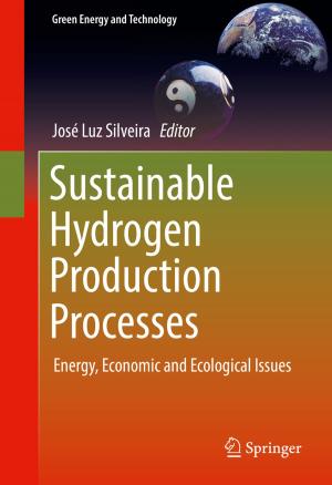Cover of the book Sustainable Hydrogen Production Processes by Youngsub Chun