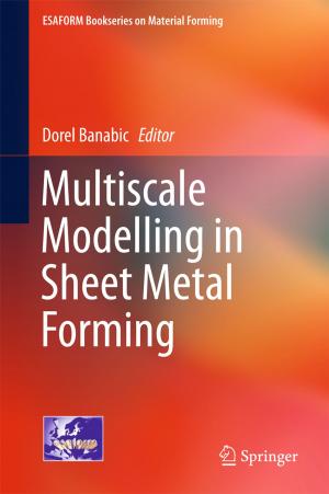 bigCover of the book Multiscale Modelling in Sheet Metal Forming by 