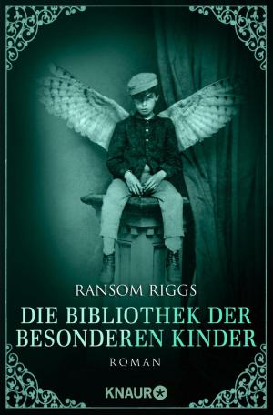 Cover of the book Die Bibliothek der besonderen Kinder by Markus Stromiedel