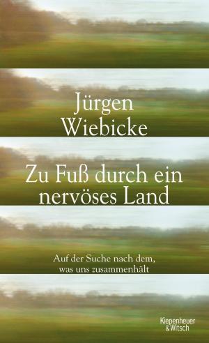 Cover of the book Zu Fuß durch ein nervöses Land by Peter Schneider