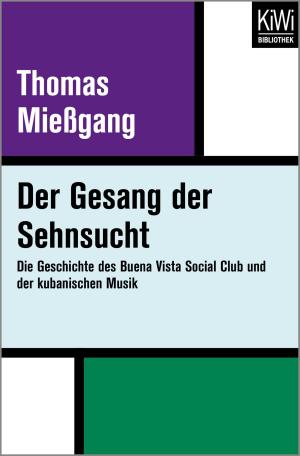 Cover of the book Der Gesang der Sehnsucht by Erica Fischer