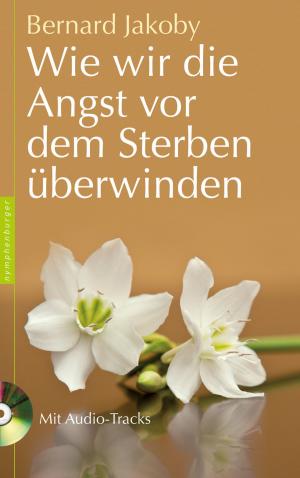 Cover of the book Wie wir die Angst vor dem Sterben überwinden by Rudolf Steiner