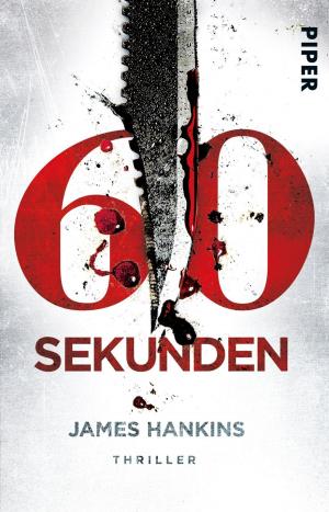 Cover of the book Sechzig Sekunden by Markus Heitz