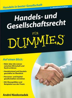 Cover of the book Handels- und Gesellschaftsrecht für Dummies by Professor Gregoire Mariethoz, Jef Caers