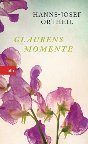 Cover of the book Glaubensmomente by Håkan Nesser, Paula Polanski
