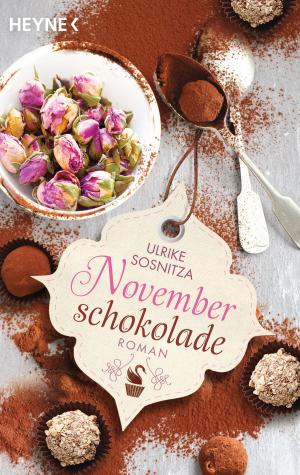 Cover of the book Novemberschokolade by Hal  Clement
