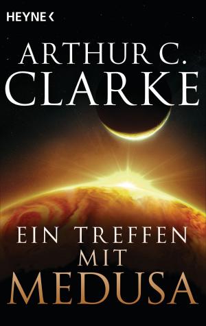 Book cover of Ein Treffen mit Medusa