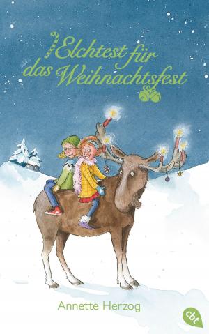 Cover of the book Elchtest für das Weihnachtsfest by Enid Blyton