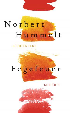 Cover of the book Fegefeuer by Ulrike Draesner