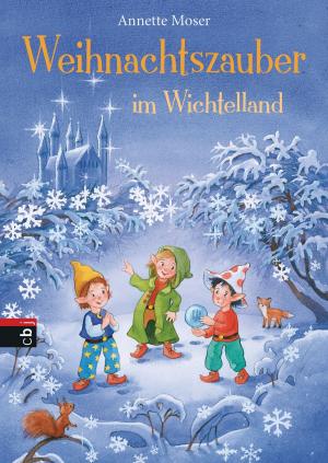 Book cover of Weihnachtszauber im Wichtelland