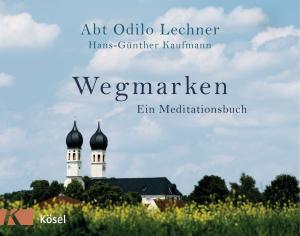 Book cover of Wegmarken