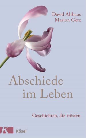 Cover of the book Abschiede im Leben by Leonardo Boff