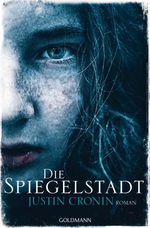 Cover of the book Die Spiegelstadt by Wladimir Kaminer